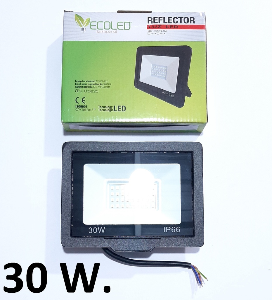 REFLECTOR ECOLED FLAT 6500K 30W/110V